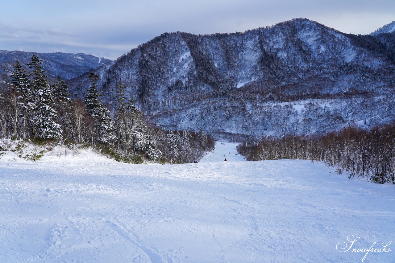 札幌国際スキー場 これぞ北海道。粉雪が降り積もったゲレンデはコンディション良好！そして、早くも全コース滑走可能です(*^^)v